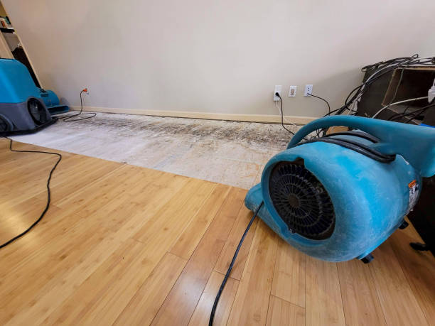 Professional Ceiling Water Damage Repair technician working in Buxton, NC